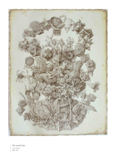 「The sacred lotus」  41.0×31.8㎝ 鉛筆・水彩